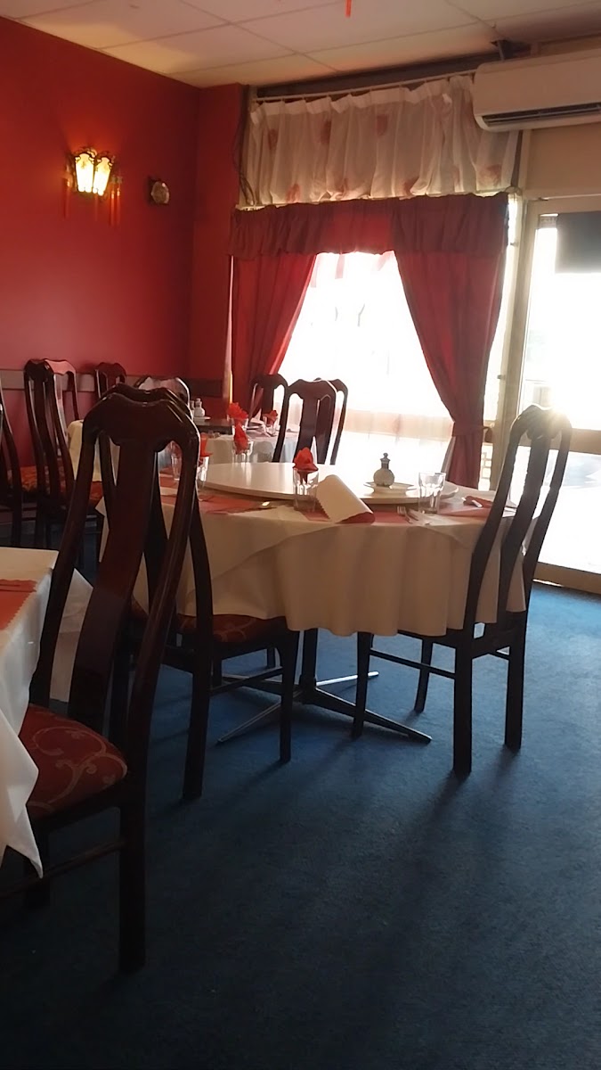 Dynasty Chinese Restaurant Photo 2